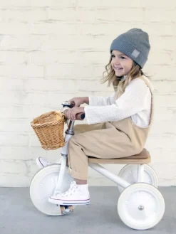 New Banwood - lasten kolmipyörä Trike, 4 sävyä Polkupyörät Ja Potkupyörät