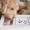 Online Best Friends Forever -kehys – Lapsi & Lemmikki Lemmikkiperhe