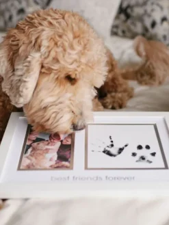 Online Best Friends Forever -kehys – Lapsi & Lemmikki Lemmikkiperhe