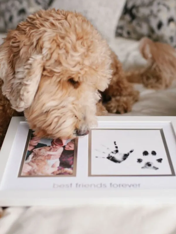 Online Best Friends Forever -kehys – Lapsi & Lemmikki Lemmikkiperhe