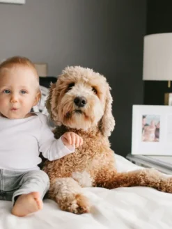 Online Best Friends Forever -kehys – Lapsi & Lemmikki Lemmikkiperhe