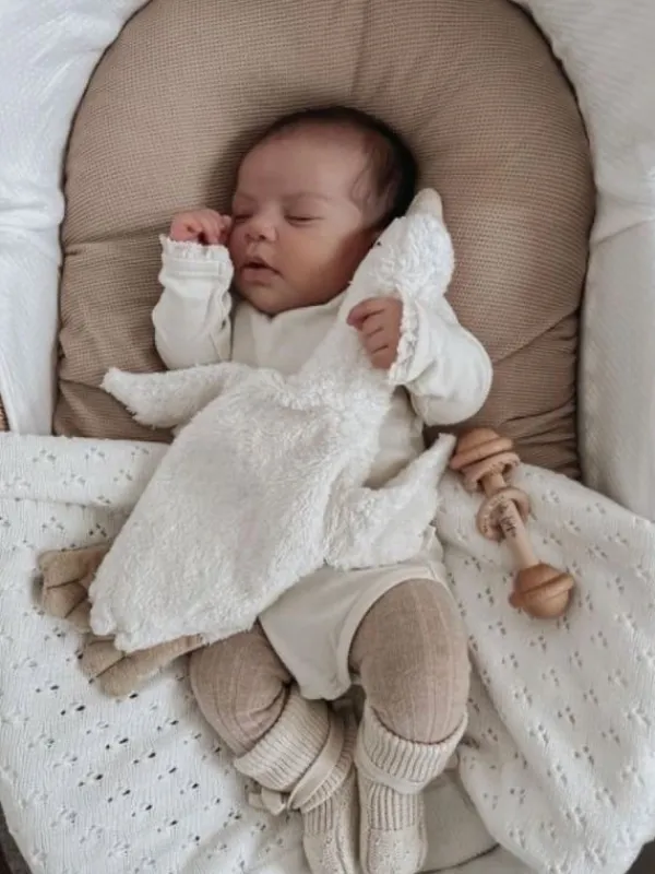 Sale Hanhi pehmolelu, sisällä lämpötyyny, small Ensilelut Ja Unirievut