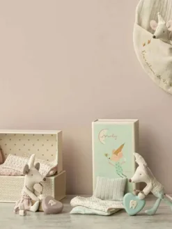 Best Maileg Hammaskeiju rasiassa – Pikkuvelihiiri & rasia lapsen ensimmäiselle hampaalle Maileg