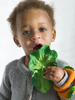 Oli&Carol Kendall the Kale purulelu Helistimet Ja Purulelut