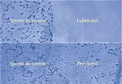 Online PRESEED siittiöystävällinen liukuvoide Siittiöystävälliset Liukuvoiteet|Kuukautiskupit, Pessaarit